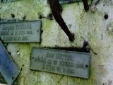 image of grave number 384237